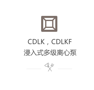 CDLK，CDLKF浸入式多級離心泵